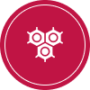 dark maroon icon